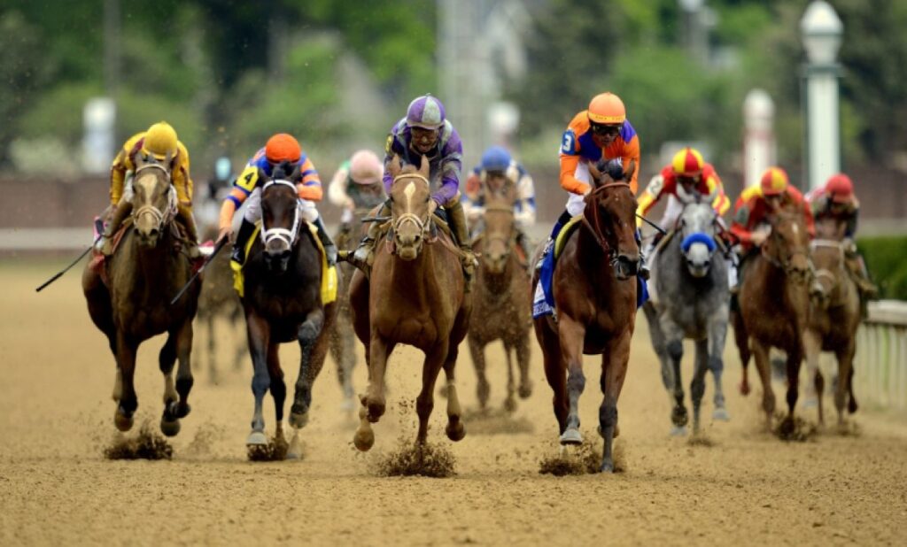 Πως παίζεται ο ιππόδρομος