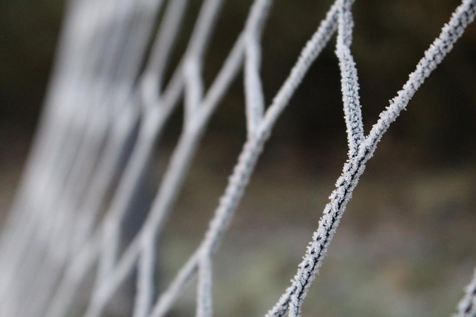 Κόπα Λιμπερταδόρες, στατιστικά και προγνωστικά Τύπου