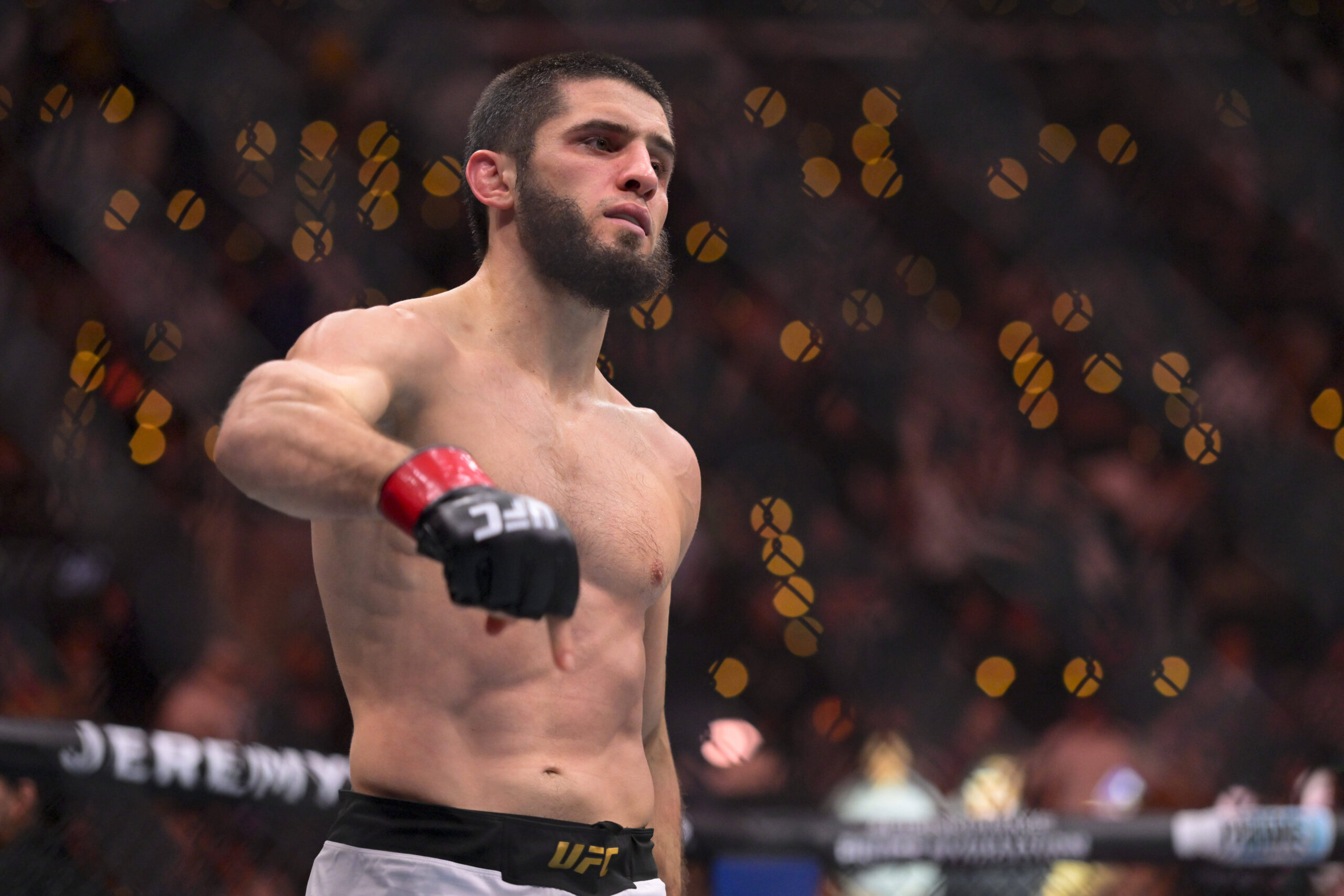 Novibet: Το μεγάλο ραντεβού στο UFC 330 με ειδικά στοιχήματα! image